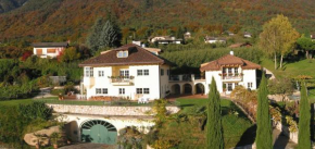 Bioweingut Lieselehof Apartments